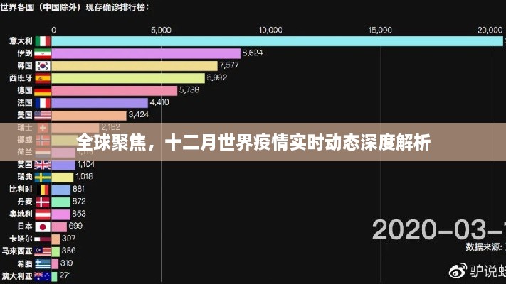 2024年12月24日 第10页