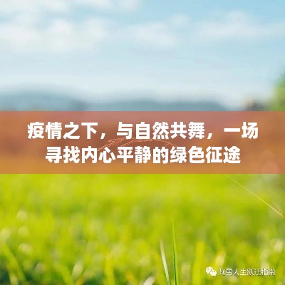 疫情下的心灵之旅，与自然共舞的绿色征途寻找内心平静