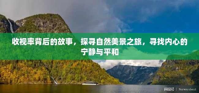 收视率背后的故事，探寻自然美景之旅，追寻内心宁静与平和的旅程